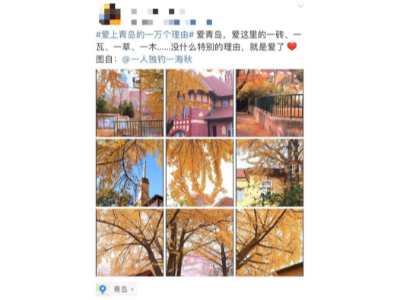 #愛(ài)上青島的一萬(wàn)個(gè)理由#，熱交換器廠家青島瑞普特算一個(gè)